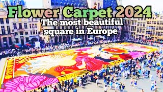 Brussels Flower Carpet 20241st day 15 August [upl. by Castle]