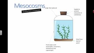 Mesocosms 2016 [upl. by Nnyleuqaj381]