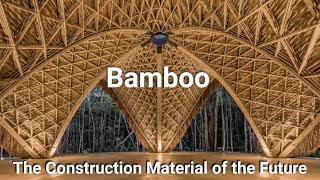 Bamboo  The Construction Material of the Future I eco friendly sustainable green building material [upl. by Kant]