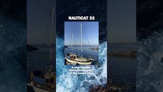 Becoming a yachtsman is not expensive as you think  sailing yachting sailboat [upl. by Delmore]