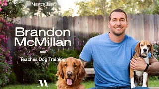 Brandon McMillan Teaches Dog Training  Official Trailer  MasterClass [upl. by Alamap335]