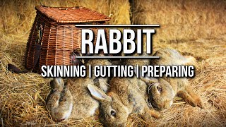 How To Get Perfect Rabbit Pelts  Red Dead Redemption 2 [upl. by Croft831]