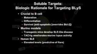 Systemic Lupus Erythematosus [upl. by Crandell]