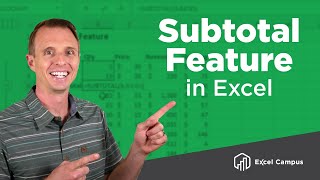 How To Use The Subtotal Feature And Subtotal Function In Excel [upl. by Laram120]