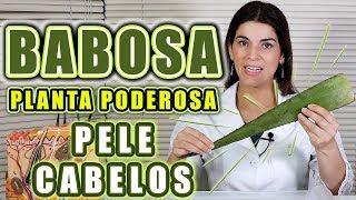 Use BABOSA  ANTI RUGAS  MANCHAS de PELE  ACNE  Receitas para o Rosto e Cabelos [upl. by Aderfla]