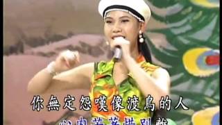 林姍 演出：南凱雙人舞蹈  再會啦港都 迪斯可 麗琦影視LD版 [upl. by Yruam]