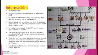 ELABORACIÓN DE UN GENOGRAMA [upl. by Smith932]