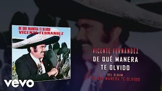 Vicente Fernández  De Qué Manera Te Olvido Audio [upl. by Velma573]