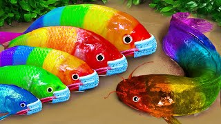 Stop Motion ASMR  Battle of fish  Catfish hunting colorful Koi Fish Eels [upl. by Enitsirhc]