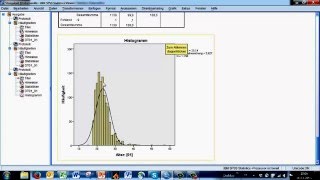 13 Deskriptive Statistik univariat  Mittelwerte und Standardabweichung [upl. by Anujra]