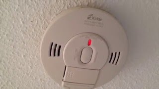 Smoke Detector Test [upl. by Sutherlan590]