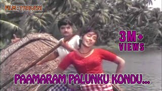 Paamaram Palunku Kondu HD  Thriveni Malayalam Movie Song  Prem Nazeer  Saradha  Sathyan [upl. by Ordnagela]