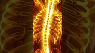 What is a Fibromyalgia Flare fibromyalgia fibroflare fibromyalgiawarrior fibromyalgie fibro [upl. by Dorej391]