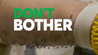 Dont Bother Using These Insect Repellents  Consumer Reports [upl. by Resay]