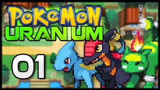 THIS TRADE IS WORTH IT  Pokemon Uranium Pokdex Guide [upl. by Ardnat]