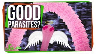 Why You Might Want Parasitic Worms [upl. by Nerred467]