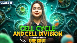 Cell Cycle and Cell Division Class 11  Part 1  NCERT Highlights  NEET 2024  Garima Goel [upl. by Anaeel]