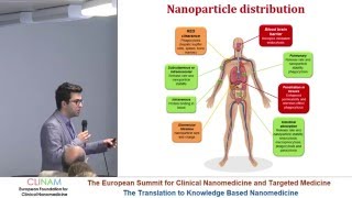 A Physiologically Based Pharmacokinetic Model to Predict the Superparamagnetic Iron Oxide [upl. by Vincenta962]