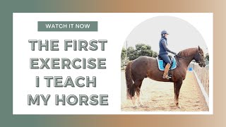 Horse Training  The First Exercise I Teach [upl. by Eizzil491]