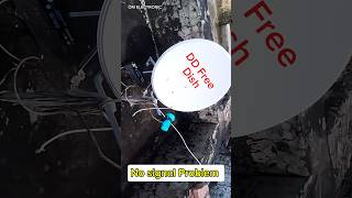 How To Solve No Signal Problem  Dd Free Dish New Update  No Signal Problem shorts nosignal [upl. by Ajssatan]