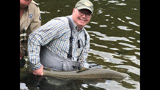 Restigouche River Atlantic Salmon Fishing 2021 [upl. by Amyas526]