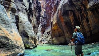 The Best of Zion  Angels Landing Subway Narrows GoPro [upl. by Ijneb]