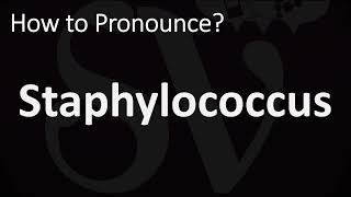 How to Pronounce Staphylococcus CORRECTLY [upl. by Theresina286]