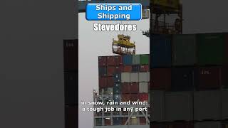 Stevedores  a tough job in every port [upl. by Andros]