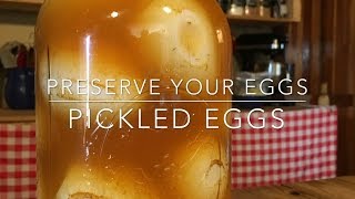 THE BEST PICKLED EGGS RECIPE  EASY EGG PRESERVATION METHOD [upl. by Merilee]