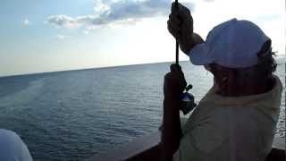 Pier Fishing Panama City Beach [upl. by Veator442]