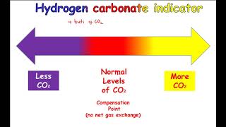 CCEA GCSE Biology Unit 1 Photosynthesis 5 compensation points [upl. by Bonney212]