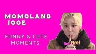 MOMOLAND JooE funny amp cute moments [upl. by Aynatan]