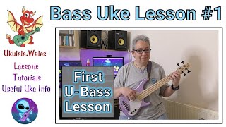 Bass Ukulele Lesson 1  Beginner U Bass Tutorial [upl. by Eniortna]