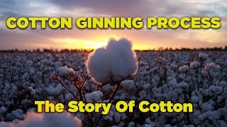 Cotton Ginning Process  The Story of Cotton [upl. by Dibbell]