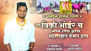 Vicky Bhoir Cha Nav Maharashtrat Femous Hay  विकी भोईर च नाव लय हाय  Maharashtra Bailgada Sharyat [upl. by Aneelad290]