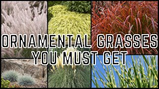 12 Ornamental Grasses Perfect For Your Landscape 🌾 [upl. by Anabahs237]