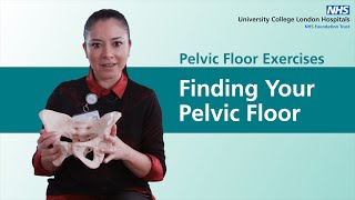 Pelvic Floor Exercises  Finding Your Pelvic Floor [upl. by Anuaf]