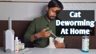 How to Deworm a cat at home  बिल्ली की डीवॉर्मिंग घर मै केसे करे [upl. by Claudette]