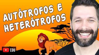 ORGANISMOS AUTÓTROFOS E HETERÓTROFOS  Biologia com Samuel Cunha [upl. by Gilberta654]