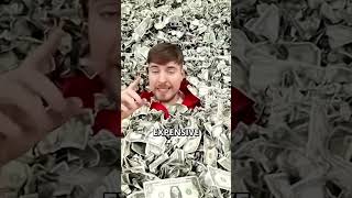 Most Expensive Things MrBeast Owns [upl. by Harbot382]