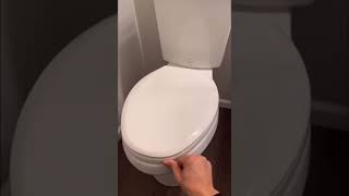 Fixing Loose Toilet Seat [upl. by Mitman]