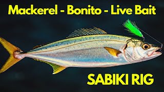 How to Make a Sabiki Rig  Easiest Method to Catch Bait Fish Horse Mackerel Bluefish Bonito [upl. by Ak]