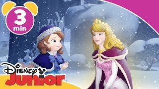 Sofia den Första  Hjälp av Prinsessan Aurora  Disney Junior Sverige [upl. by Anitnauq]