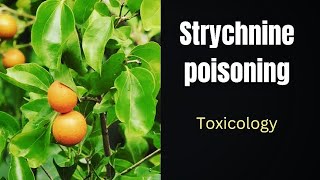 Lec39 Strychnine poisoning 🔥Strychnos Nux vomica poisoning Neurotic poisons Spinal poisons [upl. by Enilekcaj]