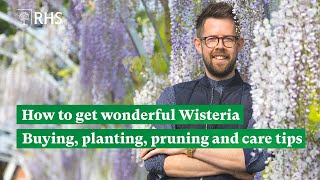 How to get wonderful Wisteria Buying planting pruning and care tips  The RHS [upl. by Yeliab]