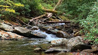 Relaxing Creek Sounds  Great Smoky Mountains [upl. by Cappello]