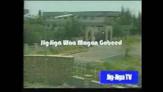 jigjiga TV news [upl. by Neyr]