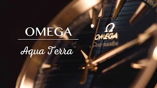 OMEGA Seamaster AquaTerra Tribute MV  シーマスター アクアテラ150M 22010382003001MV  007 [upl. by Kerekes399]