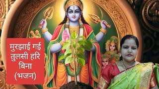 मुरझाई गई तुलसी हरि बिना भजन🌿🌿🌿🙏🪷🌺🌺❤️🚩🚩🧡video youtubevideo viralvideo bhajan [upl. by Adamok]