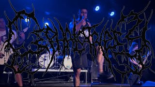 Cephalotripsy  Full Set Live in Las Vegas NV 10072022 Monsters of Brutality Fest [upl. by Perloff]